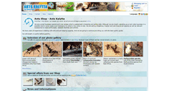 Desktop Screenshot of ants-kalytta.com