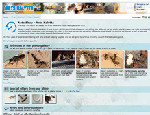 Tablet Screenshot of ants-kalytta.com